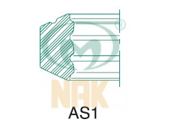 16*28.8*10 AS1 -- NBR (NKB26/////) -- NAK -- 25928N